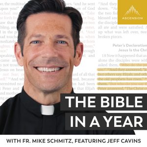 Fr. Mike Schmitz in black shirt with text overlaid saying The Bible in a Year