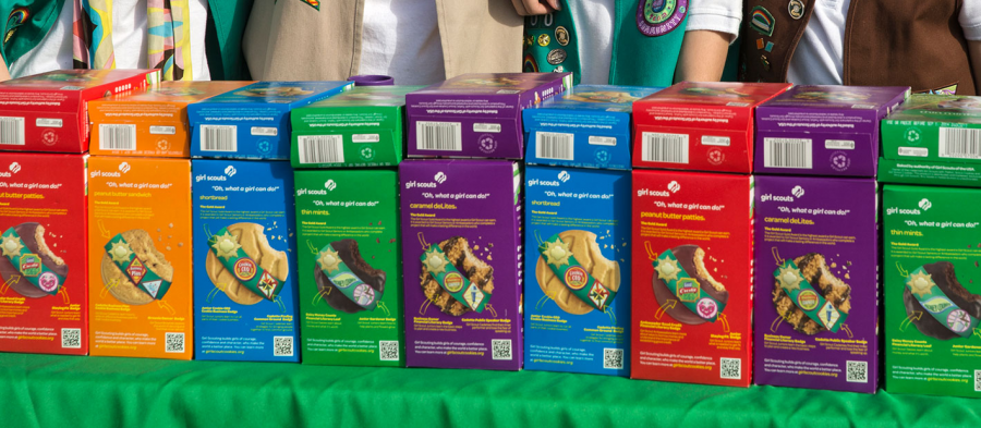Supporting Local Girl Scouts in 2021