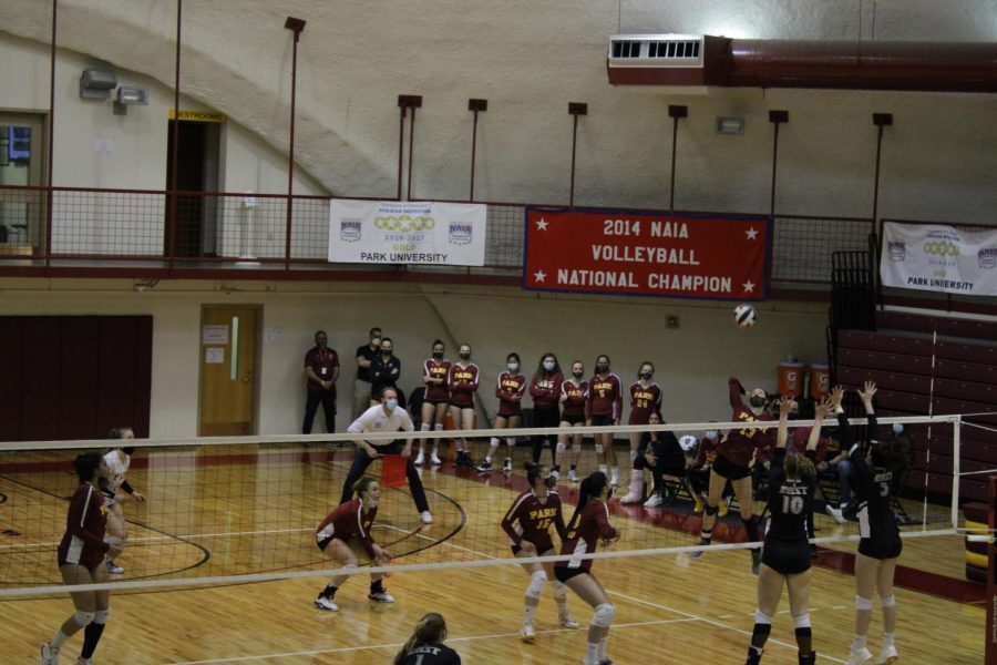 Sophomore outside hitter Malaina Hensley sets up for a spike in the NAIA Opening Round against Indiana University East.