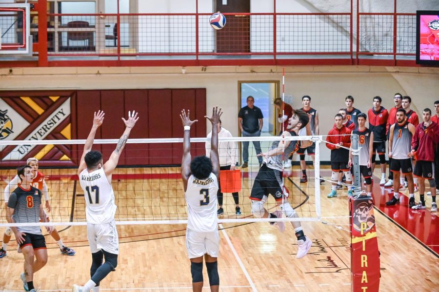 Joao Friedrich, junior, makes a kill during Park's first game of the season.